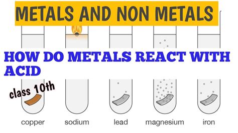 Metals And Non Metals 10 CBSE HOW DO METALS REACT WITH ACID YouTube