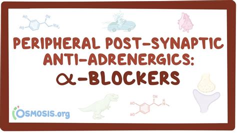 Adrenergic antagonists: Alpha blockers: Video, Causes, & Meaning | Osmosis