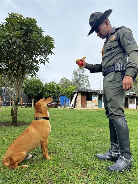 Servicio De Policia Polic A Nacional De Los Colombianos Flickr