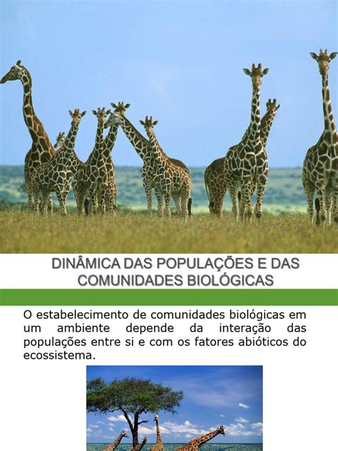Dinâmica De População Biologia - Dinâmica de População | PDF