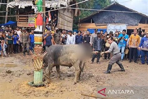 Pemkab Gumas Jadikan Ritual Tiwah Massal Agenda Wisata Budaya Tahunan