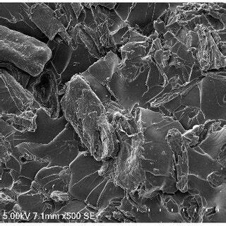 The SEM Images From The Fracture Surface Of A Pure Bio Based PLA