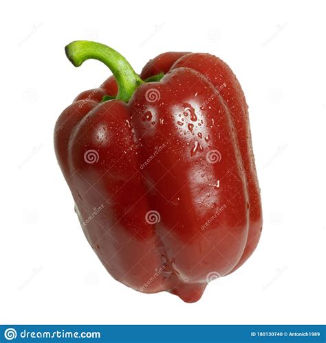 Pimiento De Timbre Rojo Aislado Con Gotas De Agua Foto De Archivo