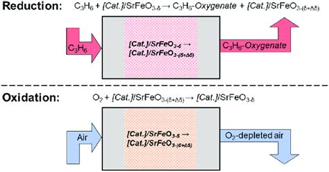 Schematic diagram showing the reduction and oxidation steps | Download ...