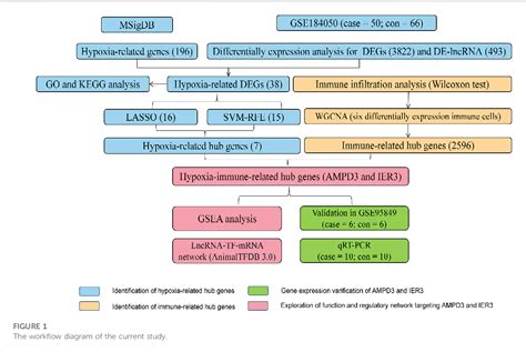 Table 1 From Identification And Analysis Of Hub Genes Of Hypoxia