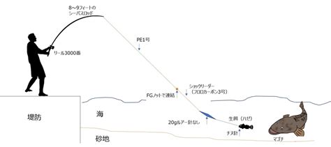 家族で楽しめるちょい投げ釣り＆泳がせ釣りをしてきたので、初心者向けに詳しく解説します。新舞子マリンパーク編。 さきがけ日記