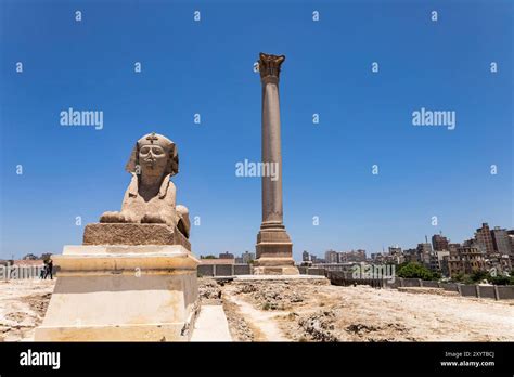 Serapeum Of Alexandria Ancient Pompeys Pillar And Stone Statue Of