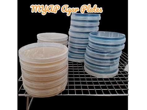 Myap Pre Poured Sterile Agar Plates Fungylicious