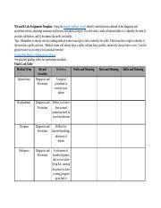 Week 6 Lab 2 HIMA100 Docx W4 And 6 Lab Assignment Template Using