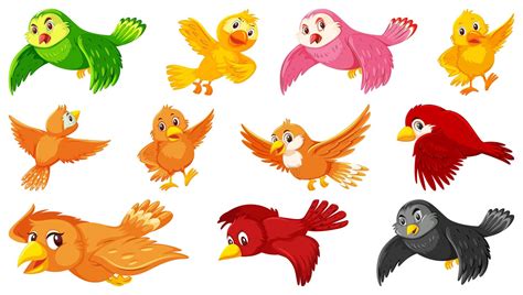 Conjunto De Personajes De Dibujos Animados De Aves Vector En