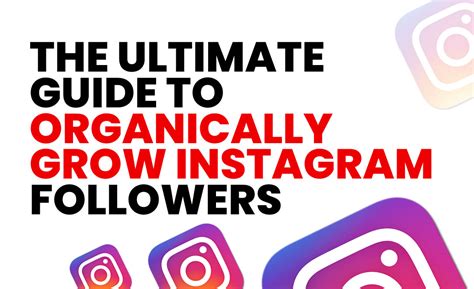 The Ultimate Guide To Organically Grow Instagram Followers