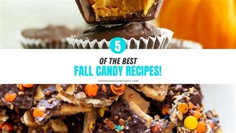 Best Fall Candy Recipes! - The Organic Goat Lady