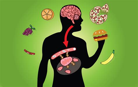 Kakve Probleme Mo E Da Nam Napravi Ubrzani Metabolizam Eklinika