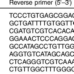 Nucleotide Sequences Of Primers And Cycling Conditions Used For PCR