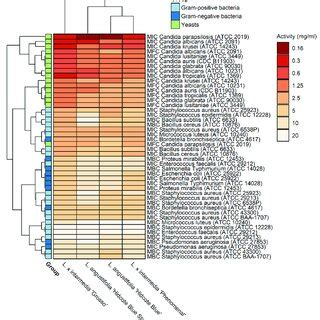 Heatmap Illustrating Antimicrobial Activity MIC MBC And MFC Doses