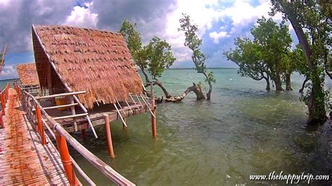 SUYAC ISLAND MANGROVE ECO-PARK TRAVEL GUIDE