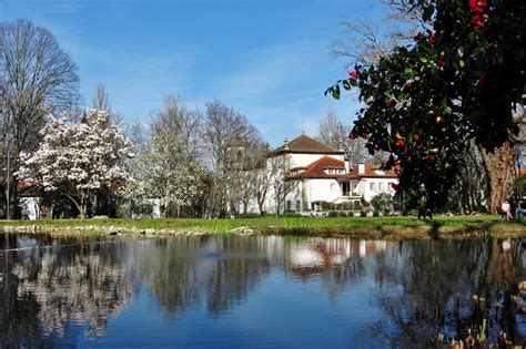 Parque Aquilino Ribeiro Viseu Cabin House Styles Home Decor Park