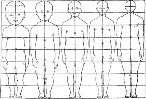 Human Body Proportion Changes With Age 9GAG