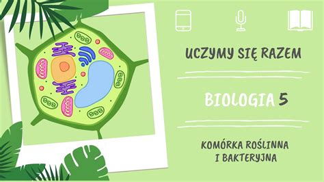 Biologia Klasa Kom Rka Ro Linna I Bakteryjna Uczymy Si Razem Youtube