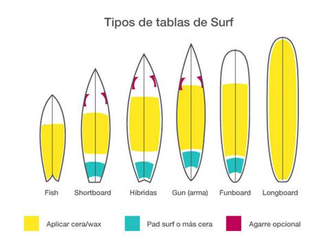 ¿qué Tipos De Tablas Te Encontrarás A Tu Llegada Al Surfcamp