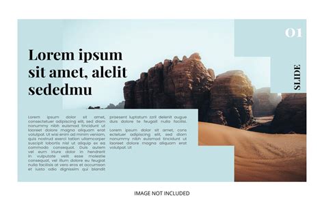 premium vector   layout