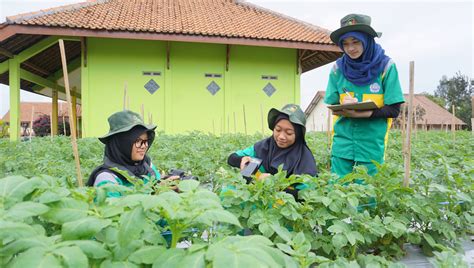 Agribisnis Tanaman Smk Negeri Ngablak