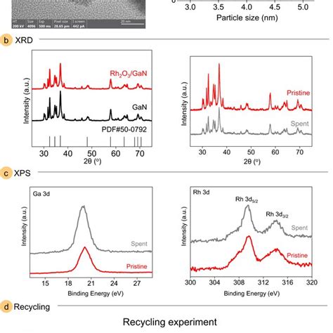 Substrate Scope Of Heterocycle Source Reaction Conditions 1a