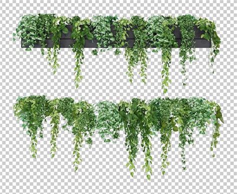 Isometric Hanging Plant Potted D Rendering