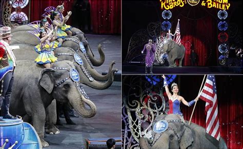 El Circo Ringling Bros Baja El Telón Después De 146 Años El Universal