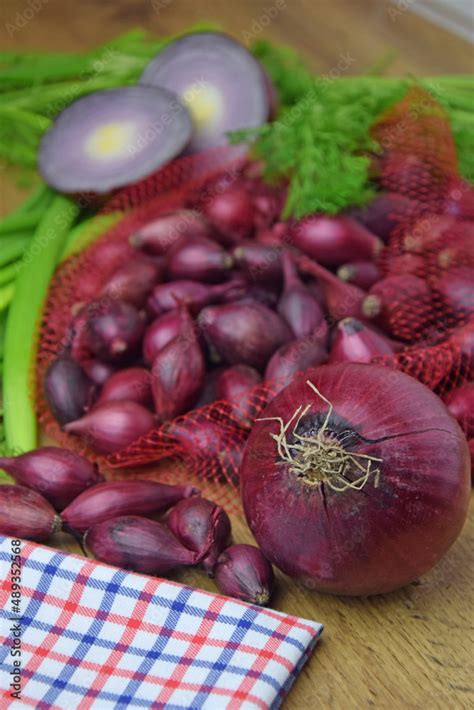 Allium Cepa Red Baron Cebula Dymka W Kuchni Stock Photo Adobe Stock