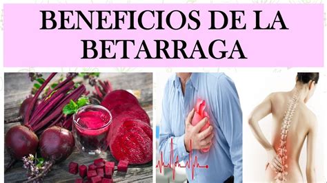 BENEFICIOS DE LA BETARRAGA BETABEL O REMOLACHA YouTube