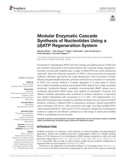 Pdf Modular Enzymatic Cascade Synthesis Of Nucleotides Using A D Atp Regeneration System