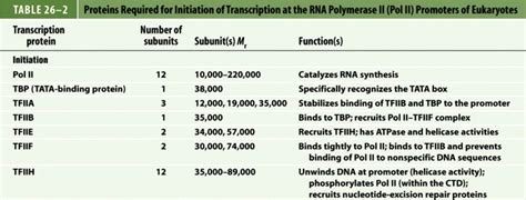 Solved Table Proteins Required For Initiation Of Transcription At