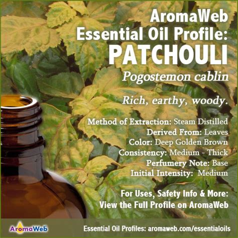 Patchouli Essential Oil Uses And Benefits Aromaweb