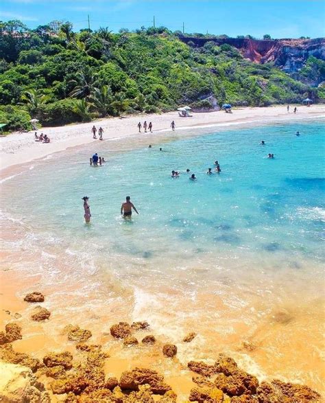 Many People Are Swimming In The Clear Blue Water