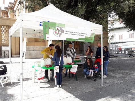 Reggio Calabria Successo Per La Giornata Della Talassemia