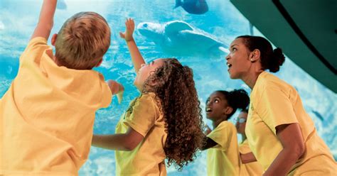 SeaWorld® San Diego "Kids Free" single-day ticket | musement