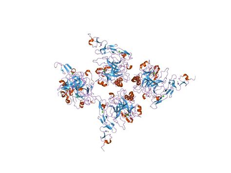 Thrombomodulin