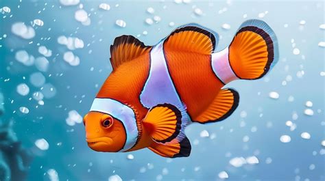 Premium Photo A Playful Clownfish In A Vibrant Aquatic Habitat