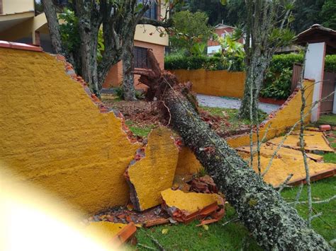 Temporal Destelha Casas Derruba árvores Causa Falta De Energia