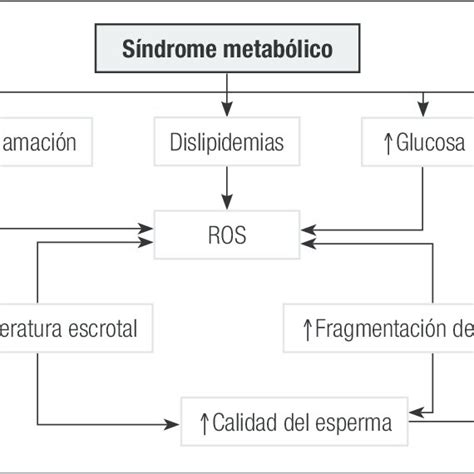 Relaci N Entre Nutrici N Y Obesidad Entre Nutrici N E Infertilidad Y