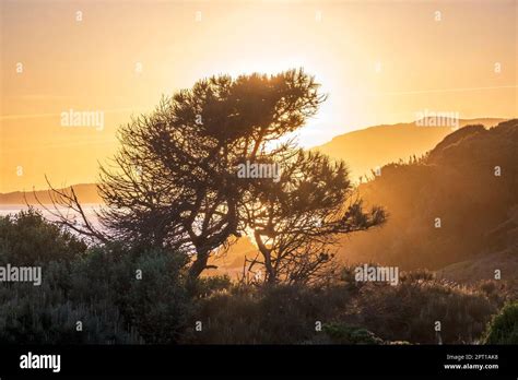 Tarifa Spain Sunset At Playa De Los Lances Along The Strait Of