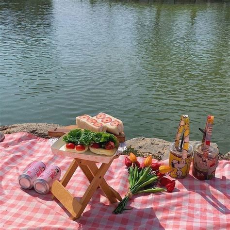 Picnic Discovered By 🍥🐰mιsscαһ🐰🍥 On We Heart It Picnic Inspiration Picnic Picnic Date