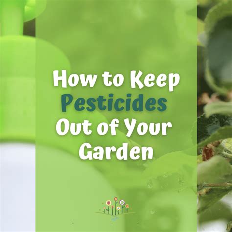 Prevent Pests In Your Garden Without Pesticides Chippewa Valley Growers