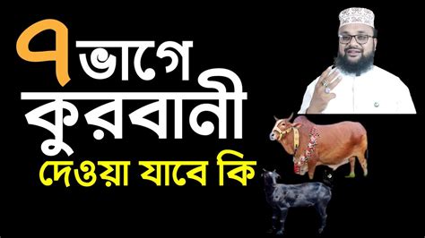 কোরবানী সাত ভাগে দেওয়া যাবে কি কাদের সাথে কোরবানী দিবেন না 7 Vage