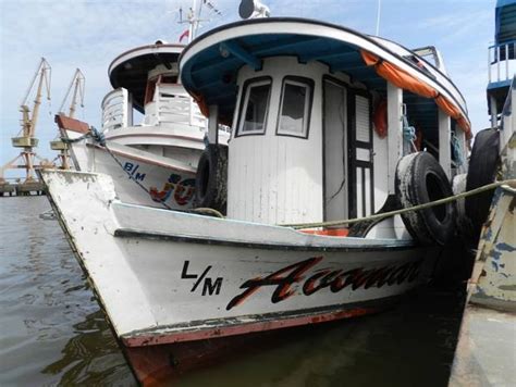 G Em Santar M No Par Ibama Apreende Toneladas De Pescado Ilegal