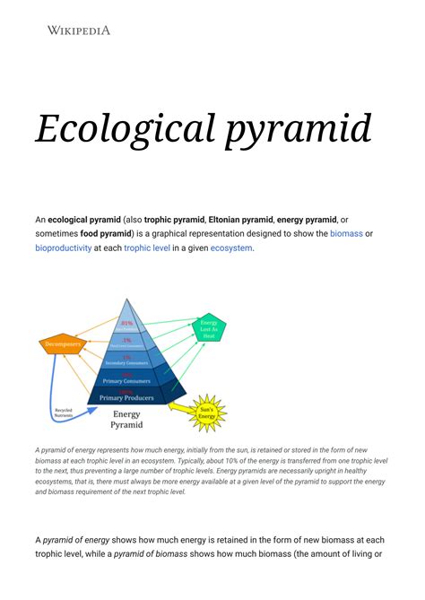 Ecological Pyramid Worksheet