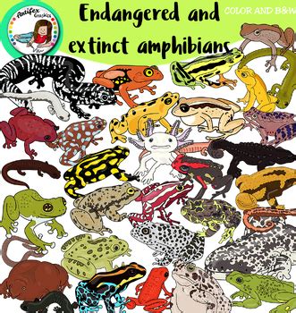 Endangered and extinct amphibians- 72 items! by Artifex | TPT