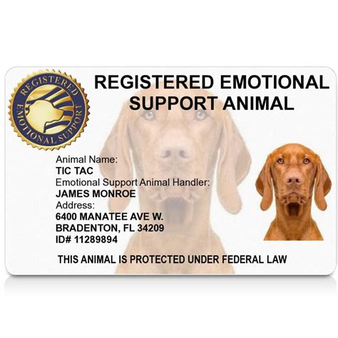 Emotional Support Animal Handler ID Card | lupon.gov.ph