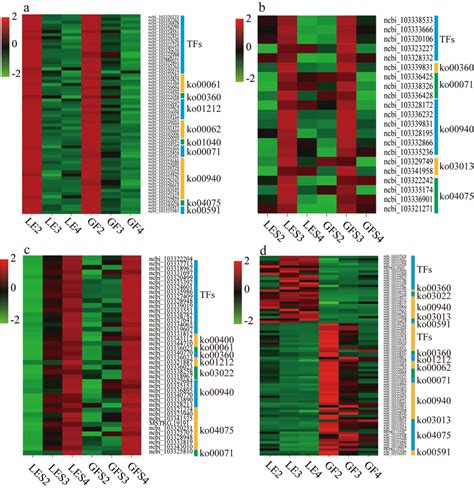 Heatmap Plot Of DEGs Identified By Enrichment Analysis At The Different